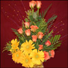 Exemplar Beauty - Click here to View more details about this Product
